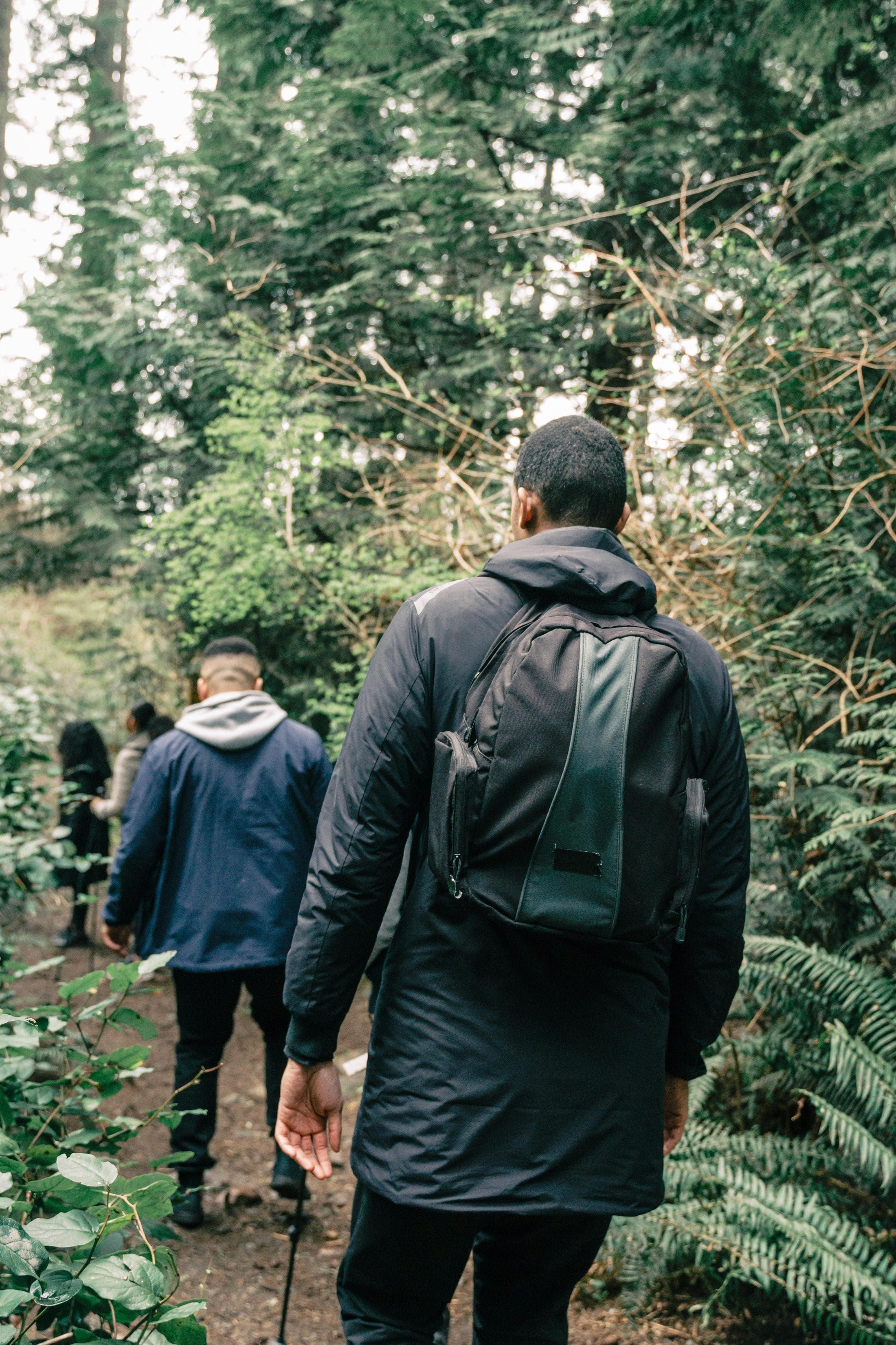 A group of hikers in the forest showing the healthy active lifestyle that nuwave products support
