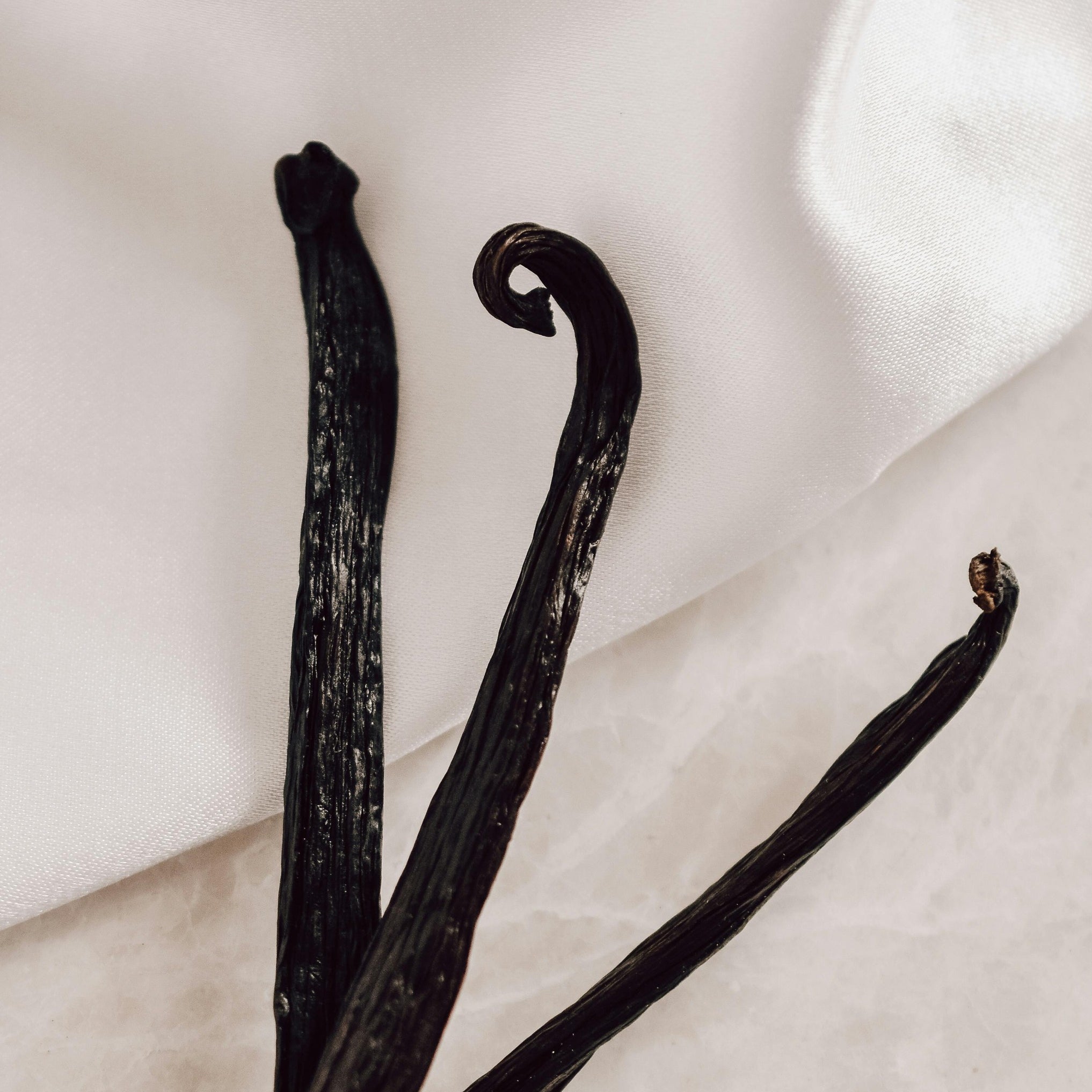 Natural vanilla pods symbolizing the natural ingredients of nuwave vanilla whey protein isolate 