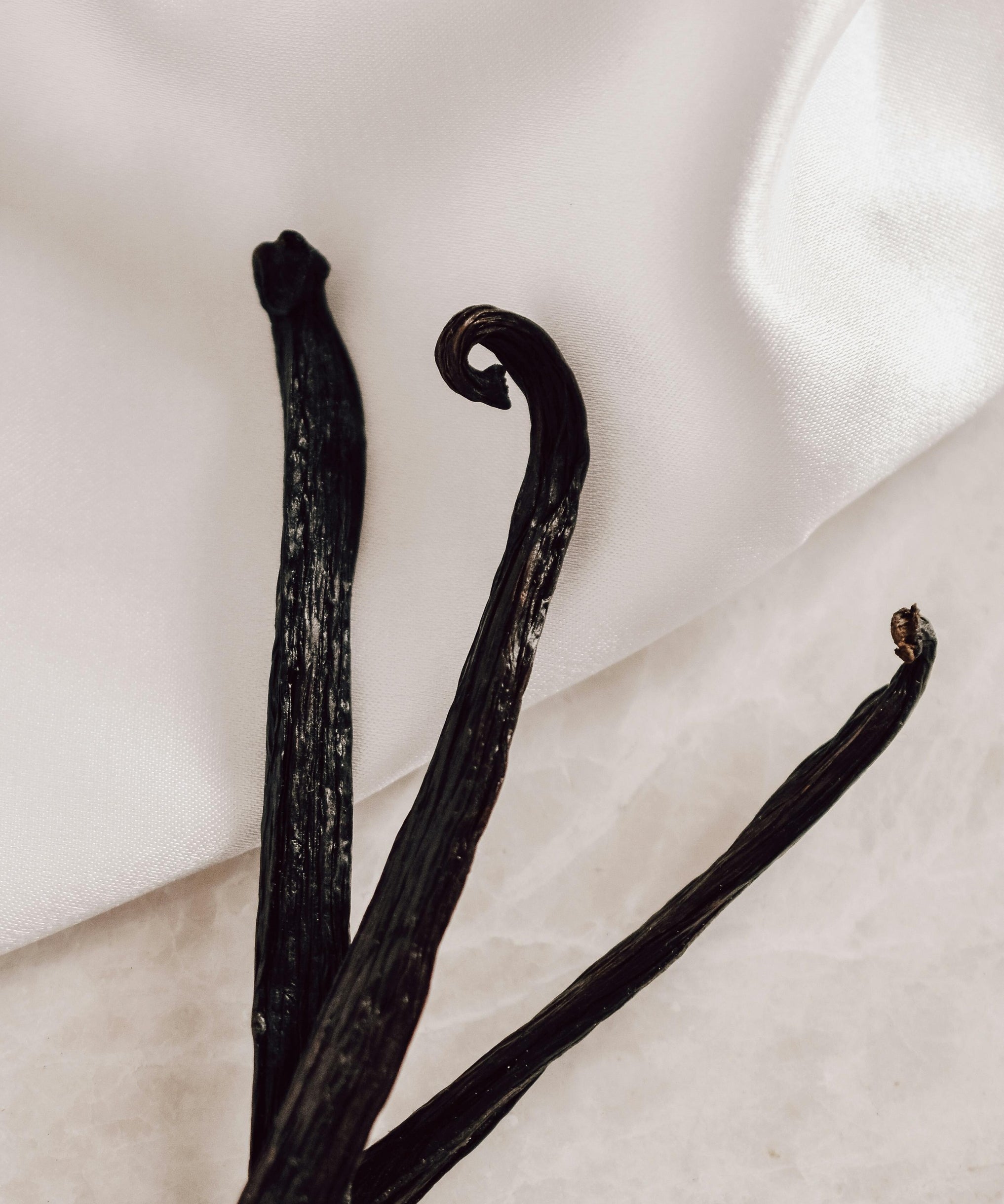 Natural vanilla pods symbolizing the natural ingredients of nuwave vanilla whey protein isolate 